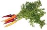 Carrot: Bunched Rainbow Carrots