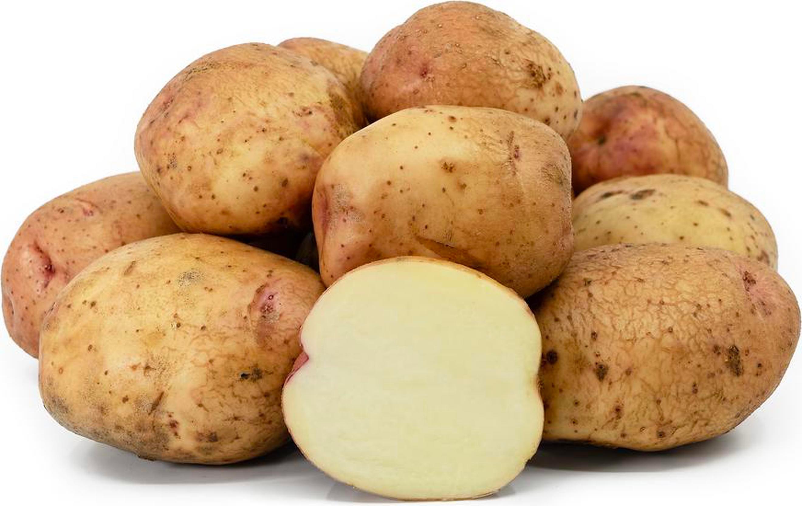 Image of the product