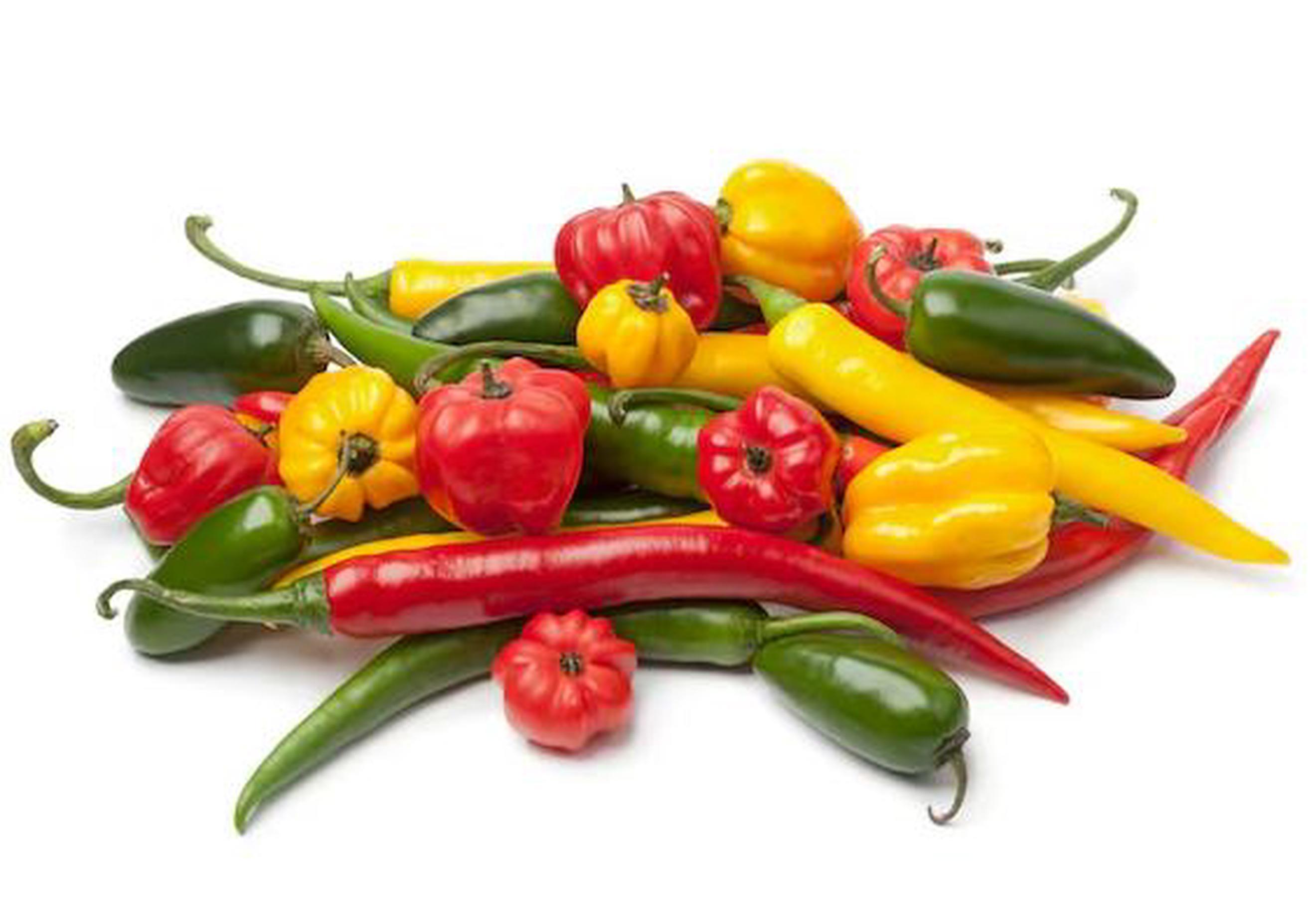 Image of the product