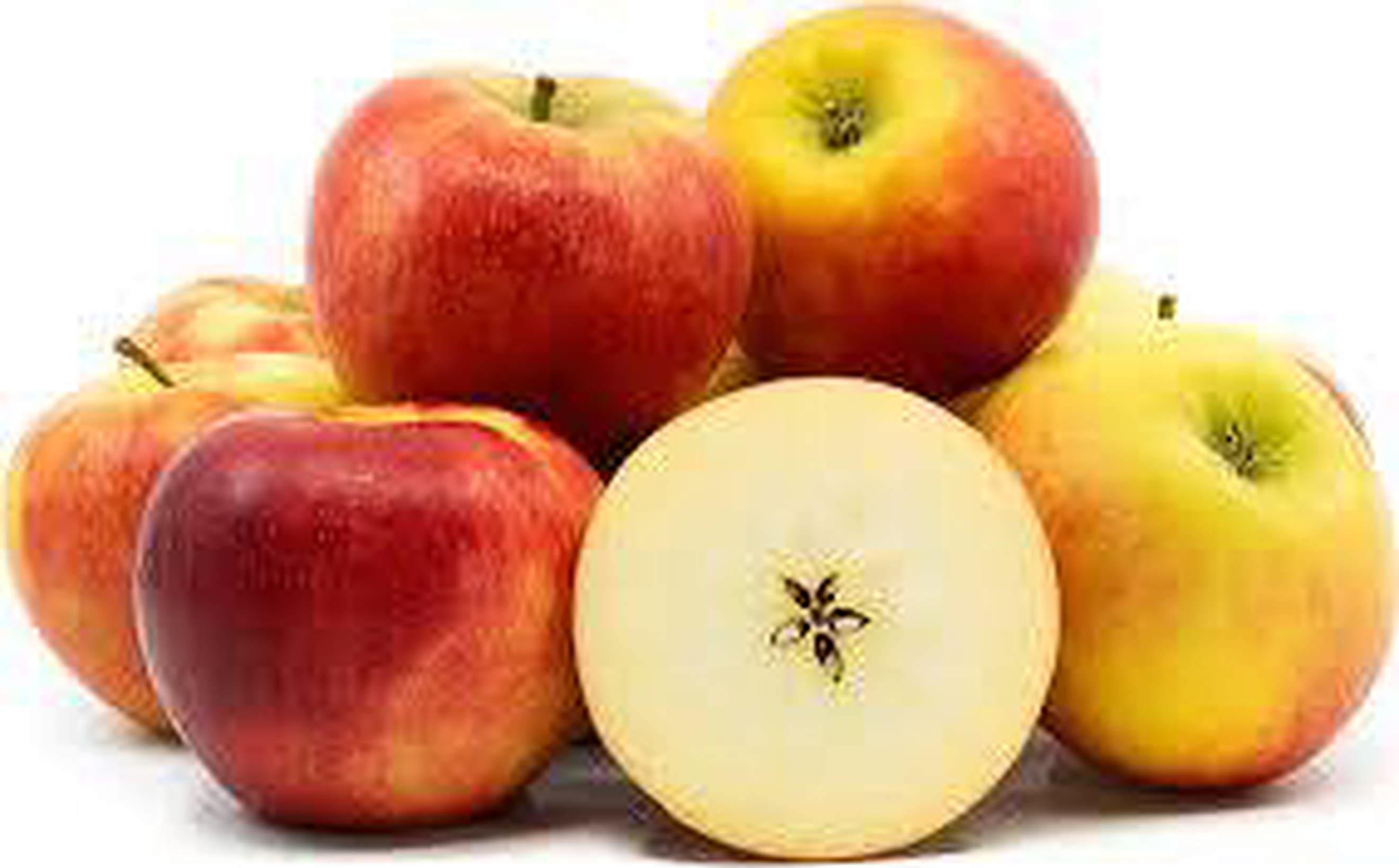 Image of the product